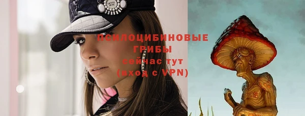 ECSTASY Волосово