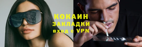 твердый Алзамай