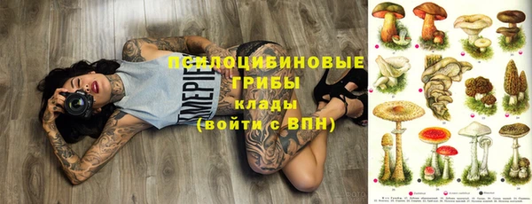 марки nbome Тайга