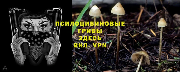 твердый Алзамай