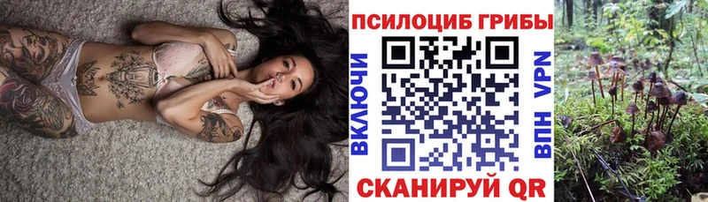 Галлюциногенные грибы мухоморы  Плавск 